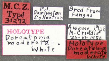 Media type: image;   Entomology 31272 Aspect: labels